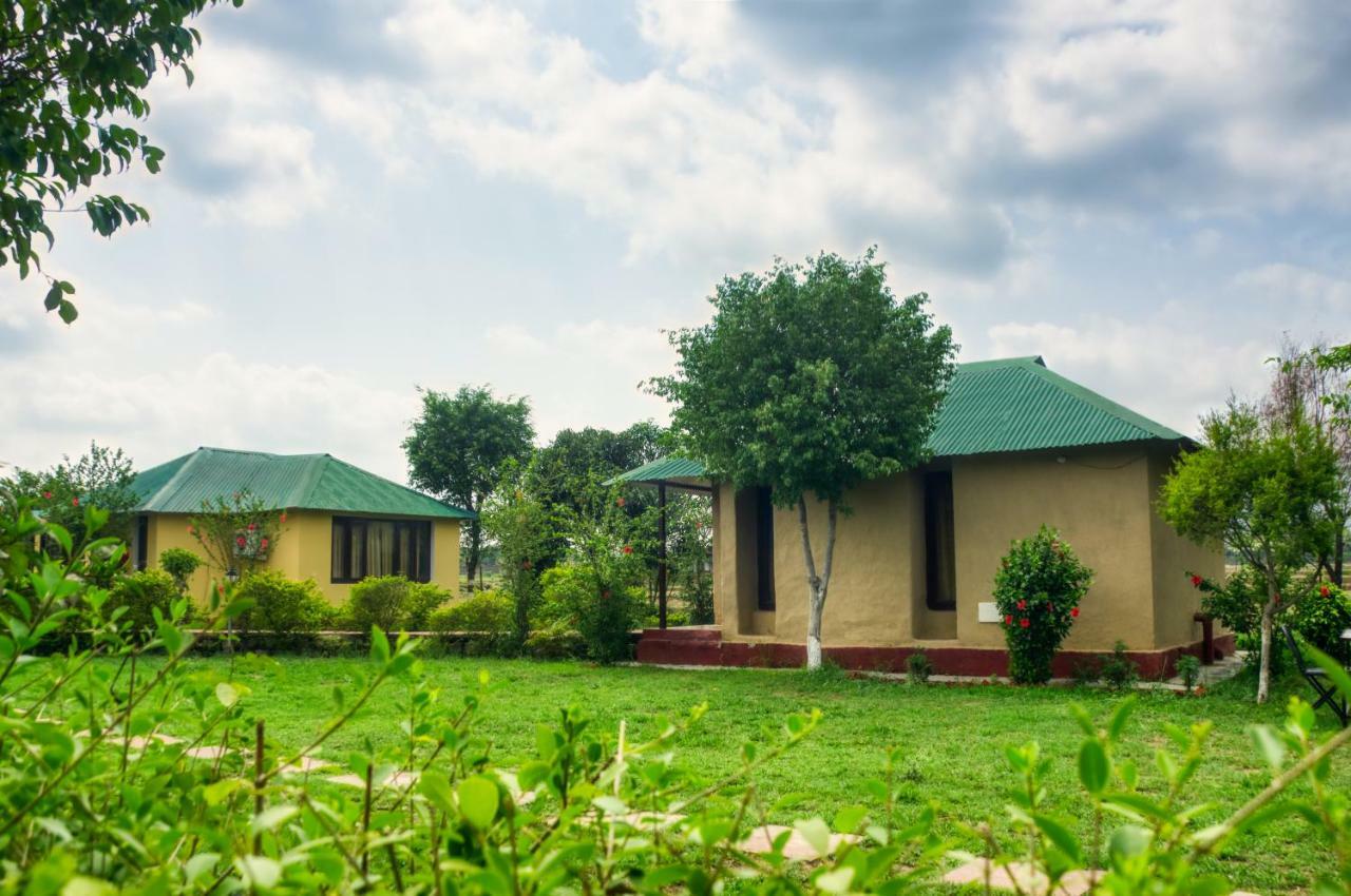 Tusk And Roar Corbett Resort Dhela Екстериор снимка