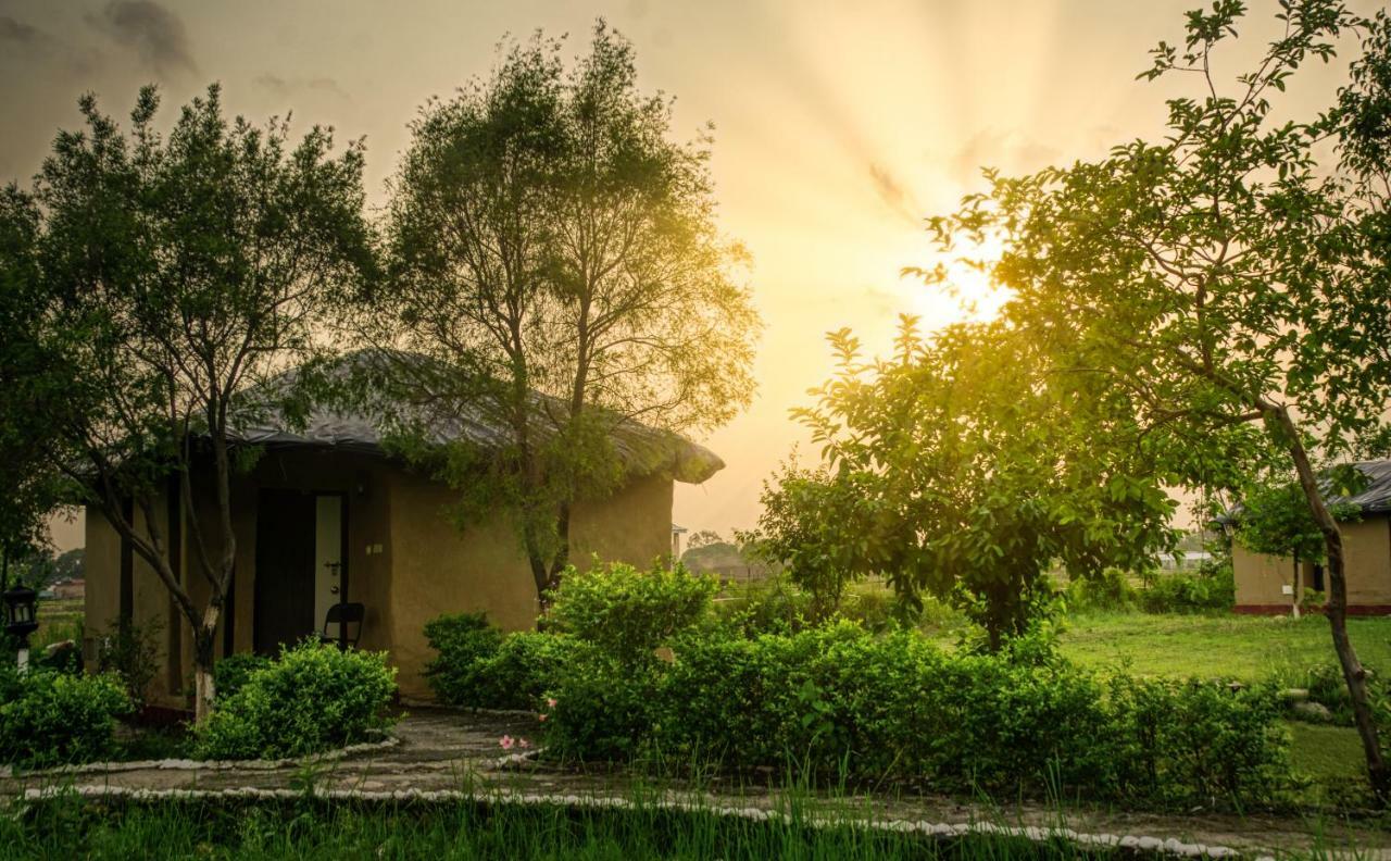 Tusk And Roar Corbett Resort Dhela Екстериор снимка